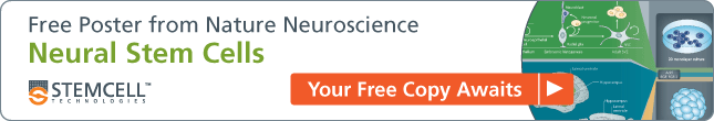 Description Your Free Copy of the Nature Neuroscience Poster "Neural Stem Cells" Awaits 